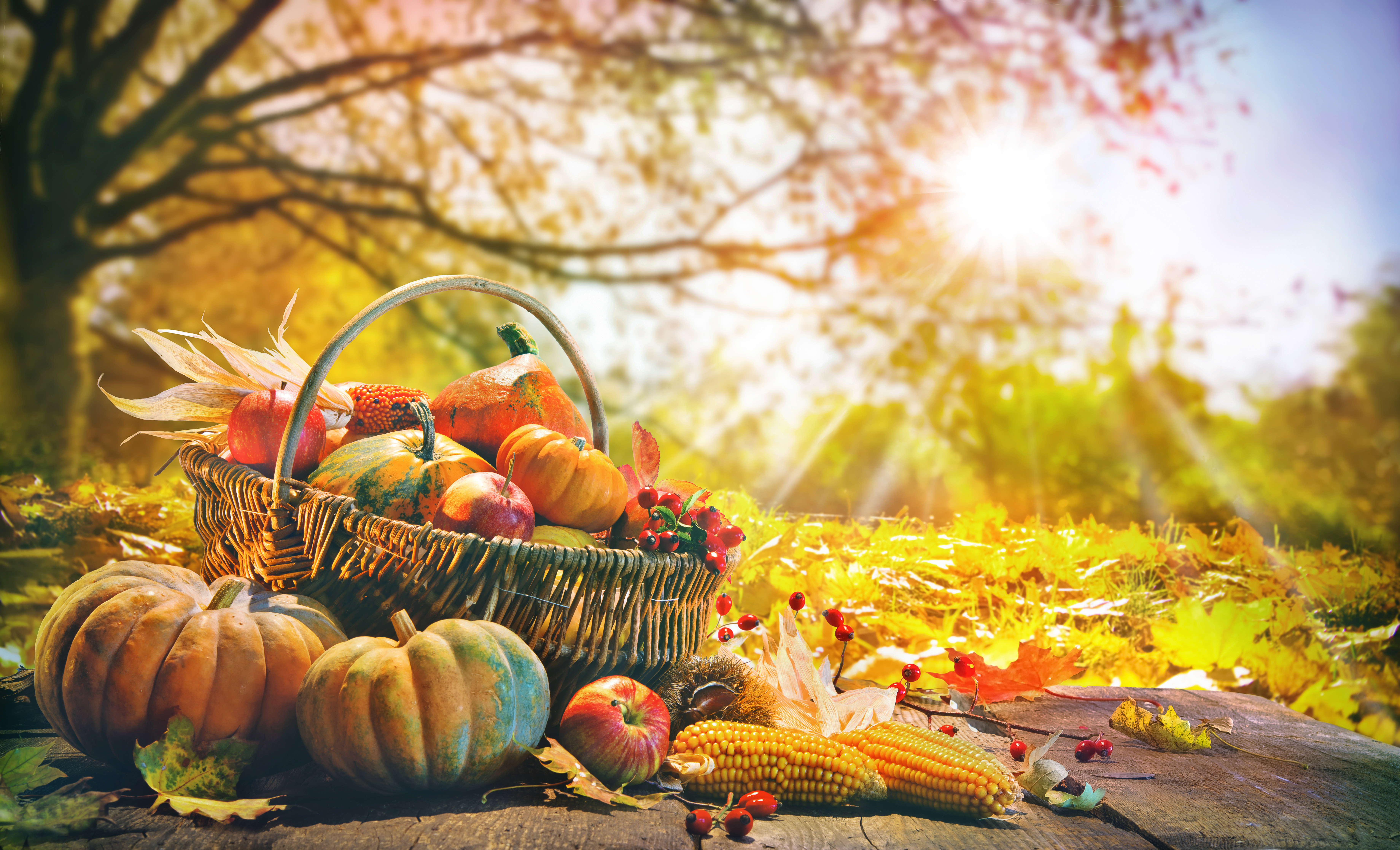 Time to Give Thanks!