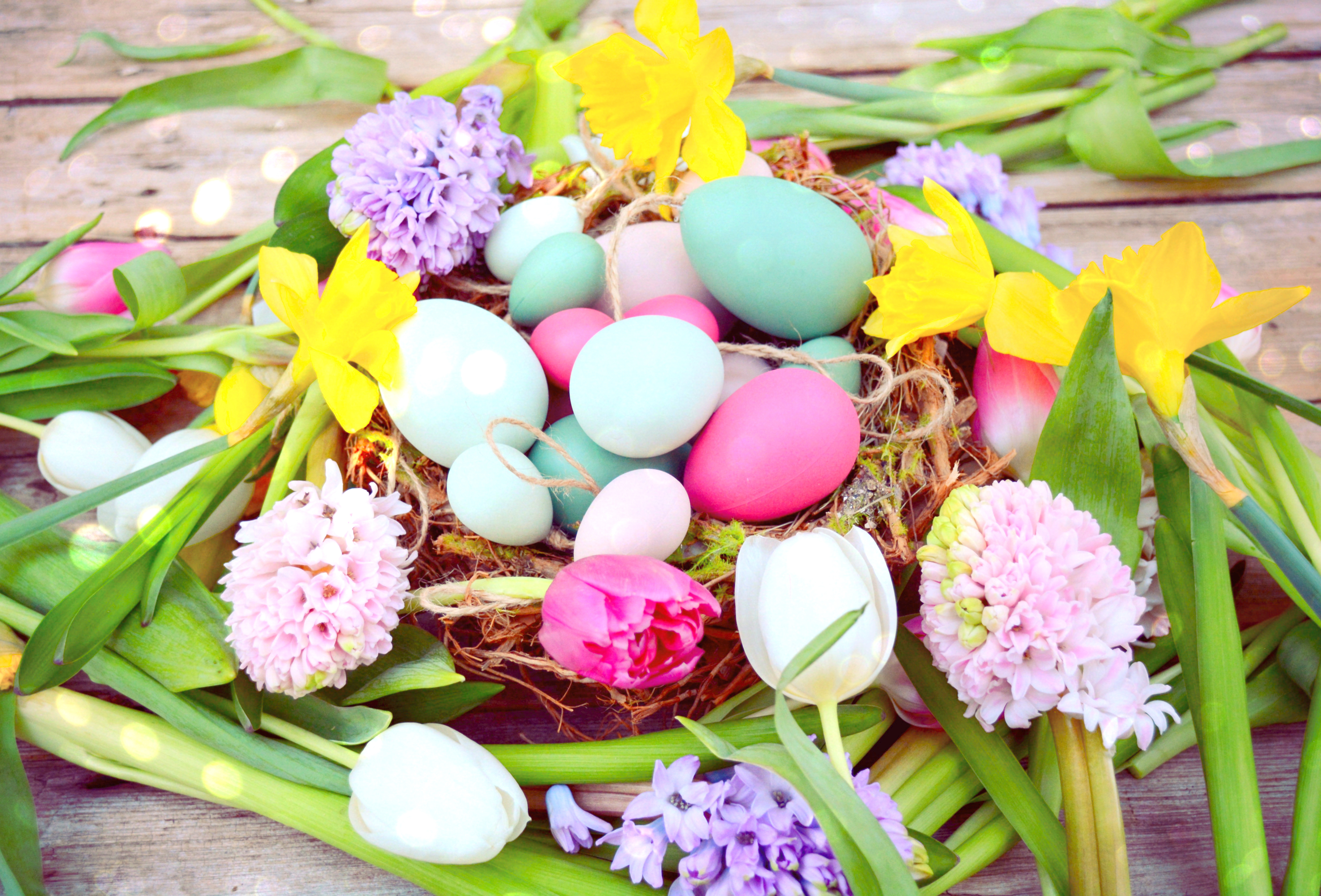 Spring Has Sprung!